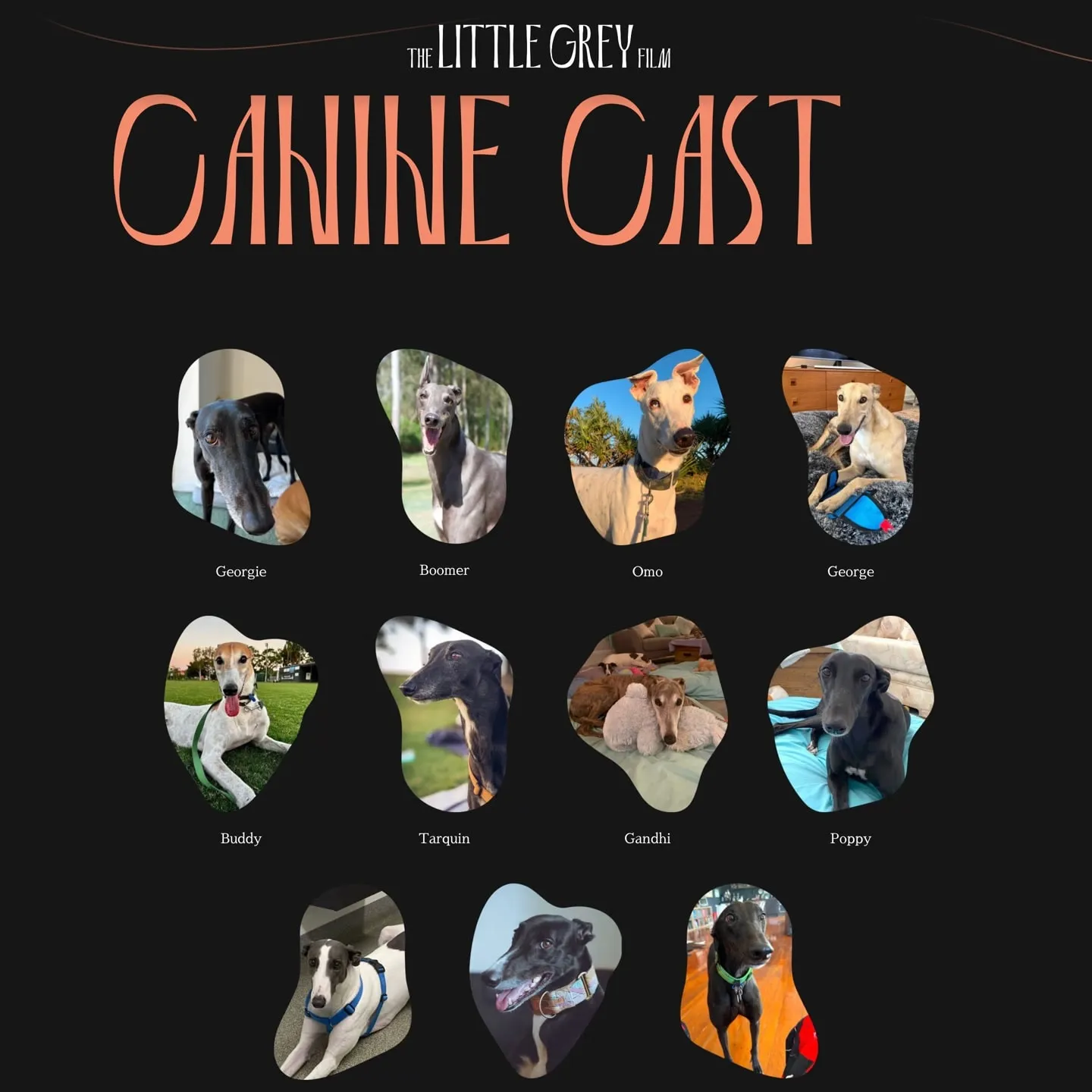 The Little Grey Film